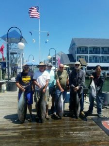 Six anglers each hold large tuna on dock